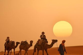 things to do in merzouga