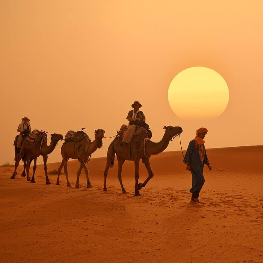 things to do in merzouga