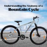 Mountain Cycle