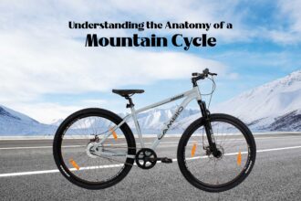 Mountain Cycle