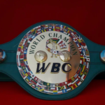 Boxing Belt