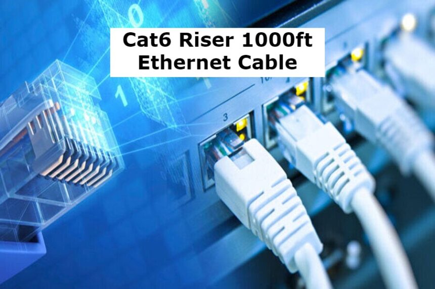 Cat6 Riser 1000ft