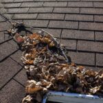 Gutter Cleaning for Eco-Friendly Roof Gardens