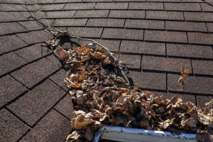 Gutter Cleaning for Eco-Friendly Roof Gardens