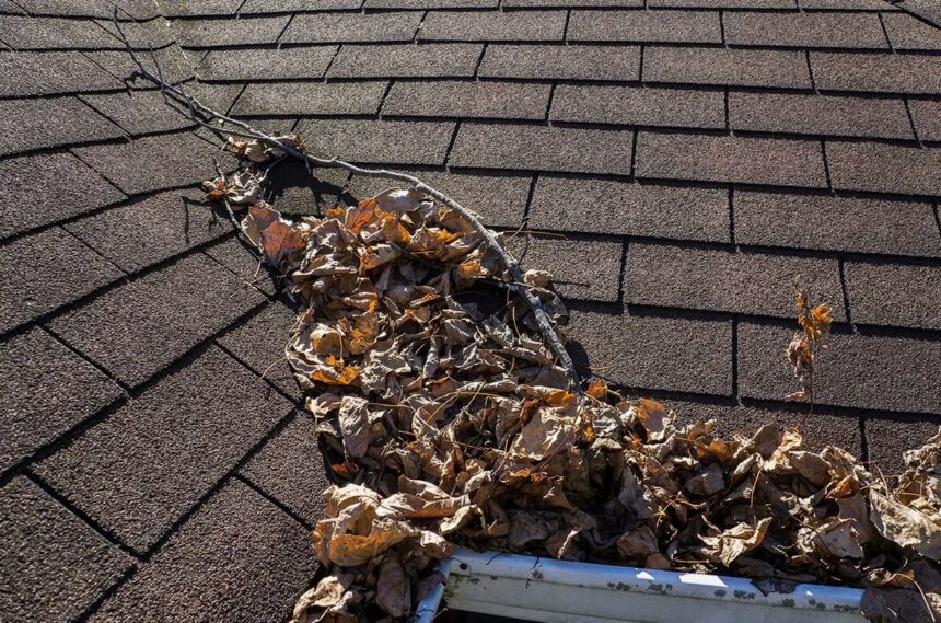 Gutter Cleaning for Eco-Friendly Roof Gardens