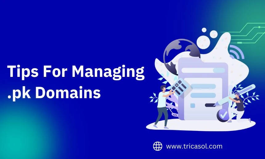 tips for managing .pk domain