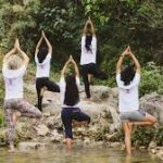 Top Panchkarma Retreats in Rishikesh for a Health Reset