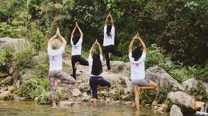 Top Panchkarma Retreats in Rishikesh for a Health Reset