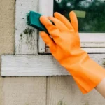 mold remediation Indiana services,