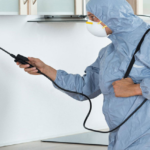 Expert Fumigation Services in Lahore: Your Comprehensive Guide