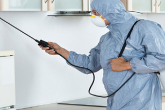 Expert Fumigation Services in Lahore: Your Comprehensive Guide