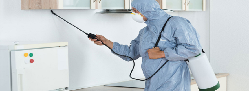 Expert Fumigation Services in Lahore: Your Comprehensive Guide